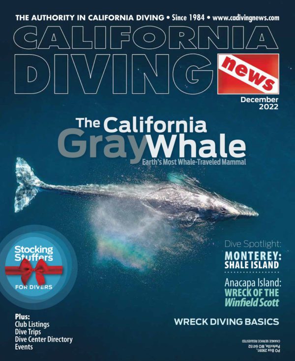 This image portrays California Diving News Subscription by Scuba Show | June 1 & 2, 2024.