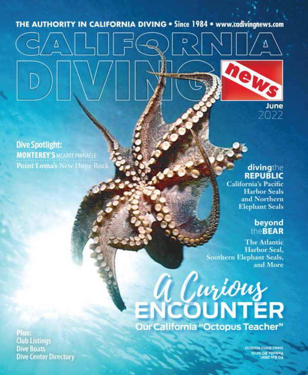 This image portrays California Diving News Subscription by Scuba Show | June 1 & 2, 2024.