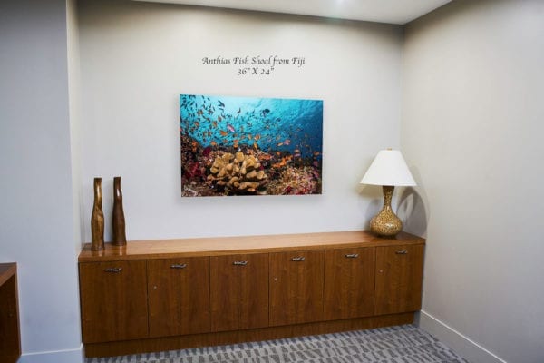 This image portrays Loring Photos Stunning Metal Printed Coral Reef and Marine Animal Photographs by Scuba Show | June 1 & 2, 2024.