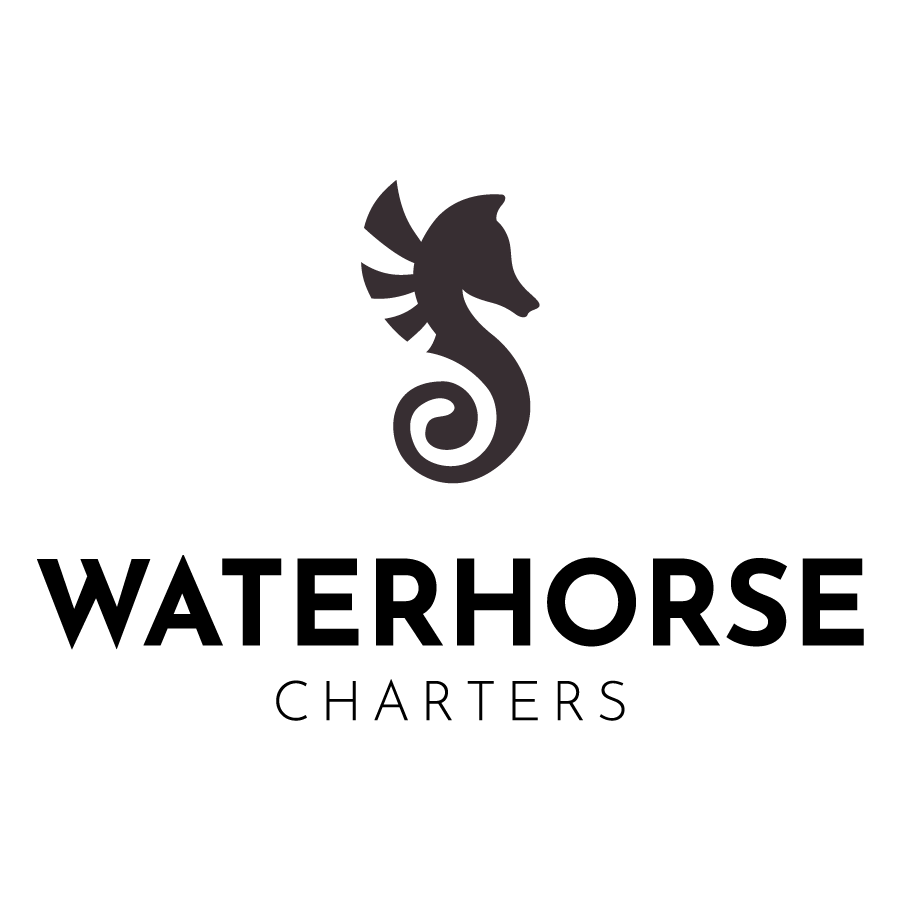 This image portrays Waterhorse Charters by Scuba Show | June 1 & 2, 2024.