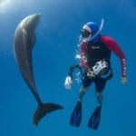 This image portrays 2020 Honoree by Scuba Show | June 1 & 2, 2024.