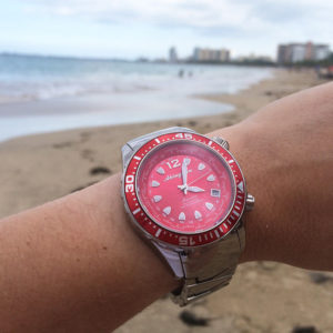 This image portrays Abingdon Watch Company - Marina Dive Watch w/ Extra Silicone Strap - Reef Red by Scuba Show | June 1 & 2, 2024.