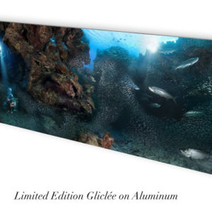 This image portrays Blue Ocean Art - “The Grotto” 27x70” Limited Edition Print by Scuba Show | June 1 & 2, 2024.