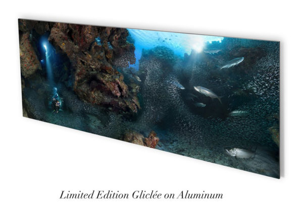 This image portrays Blue Ocean Art - “The Grotto” 27x70” Limited Edition Print by Scuba Show | June 1 & 2, 2024.