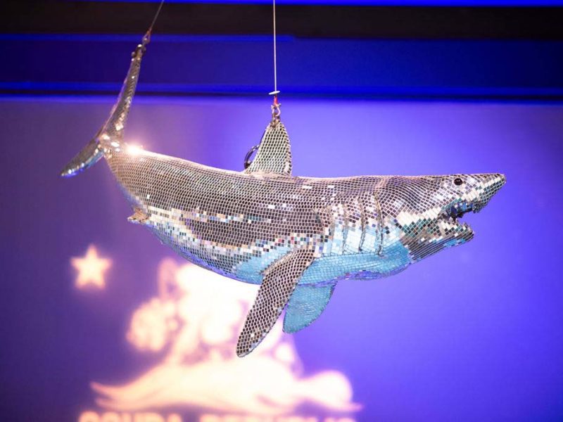 This image portrays DISCOSHARK TO PRESIDE OVER SCUBA SHOW 2024 by Scuba Show | June 1 & 2, 2024.