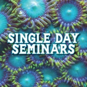 This image portrays Single Day Seminars 2025 by Scuba Show | May 31 & June 1, 2025.