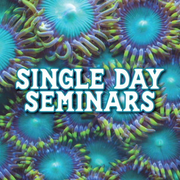 Single Day Seminars 2025