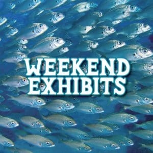 This image portrays Weekend Exhibit Hall 2025 by Scuba Show | May 31 & June 1, 2025.