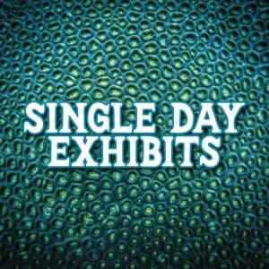 This image portrays Single Day Exhibit Hall 2025 by Scuba Show | May 31 & June 1, 2025.