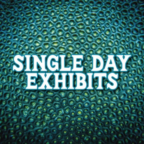 Single Day Exhibit Hall 2025