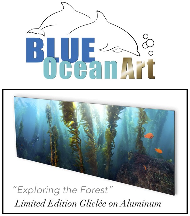 This image portrays Door Prizes by Scuba Show | May 31 & June 1, 2025.
