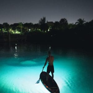 American Watersports Association ESCA Surf GLoFin