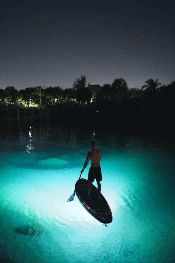 American Watersports Association ESCA Surf GLoFin